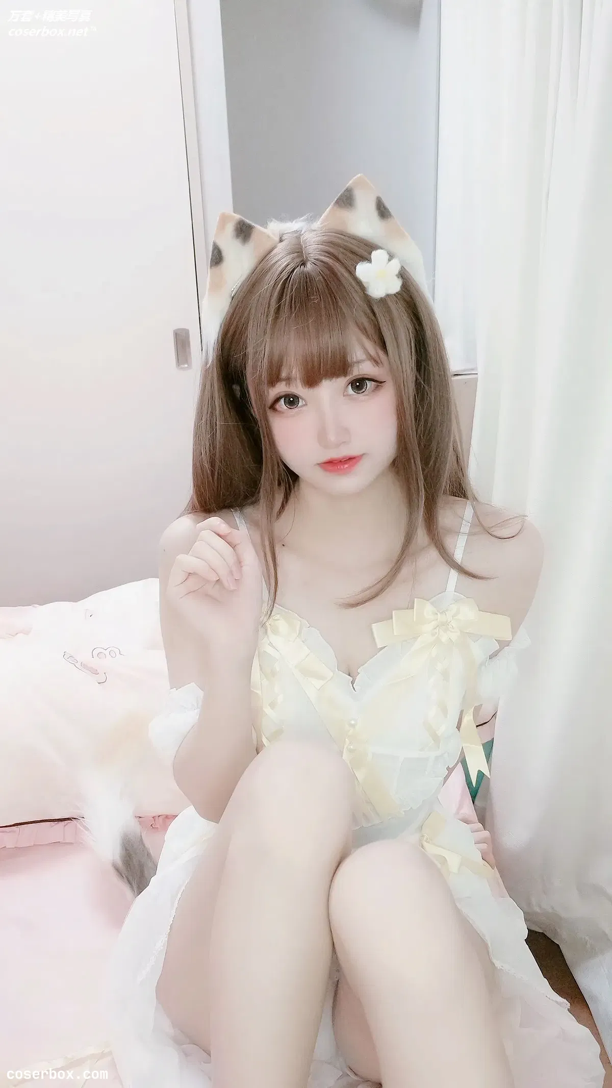 千阳(ちよ) NO.042 三花猫～ [12P 41.77MB] - 2