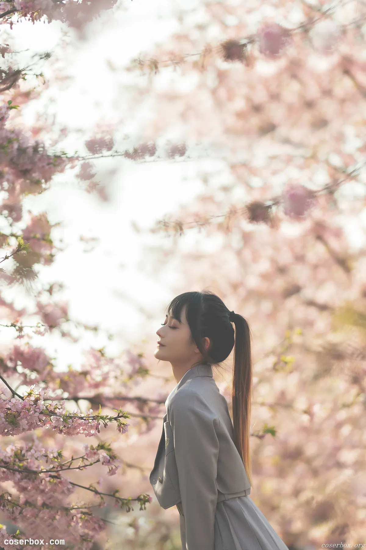 兔子Zzz不吃胡萝卜 NO.032 櫻之聲 [26P 206.5MB] - 1