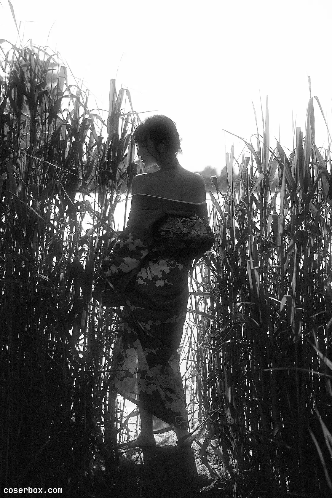 A-mu NO.016 昙花 [31P 47.88MB] - 1