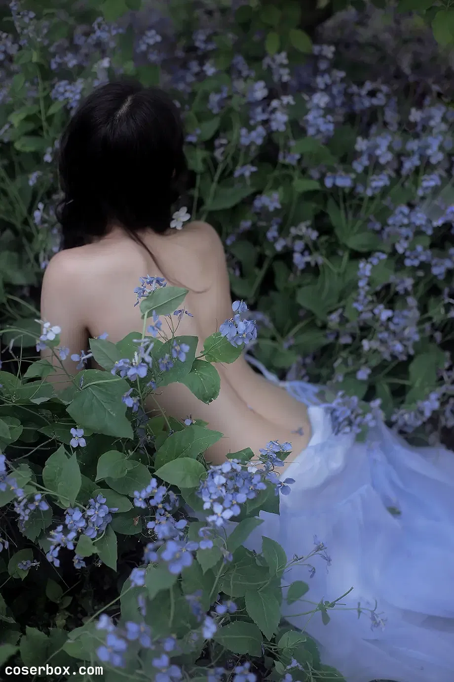 A-mu NO.022 海棠 [15P 27.98MB] - 1