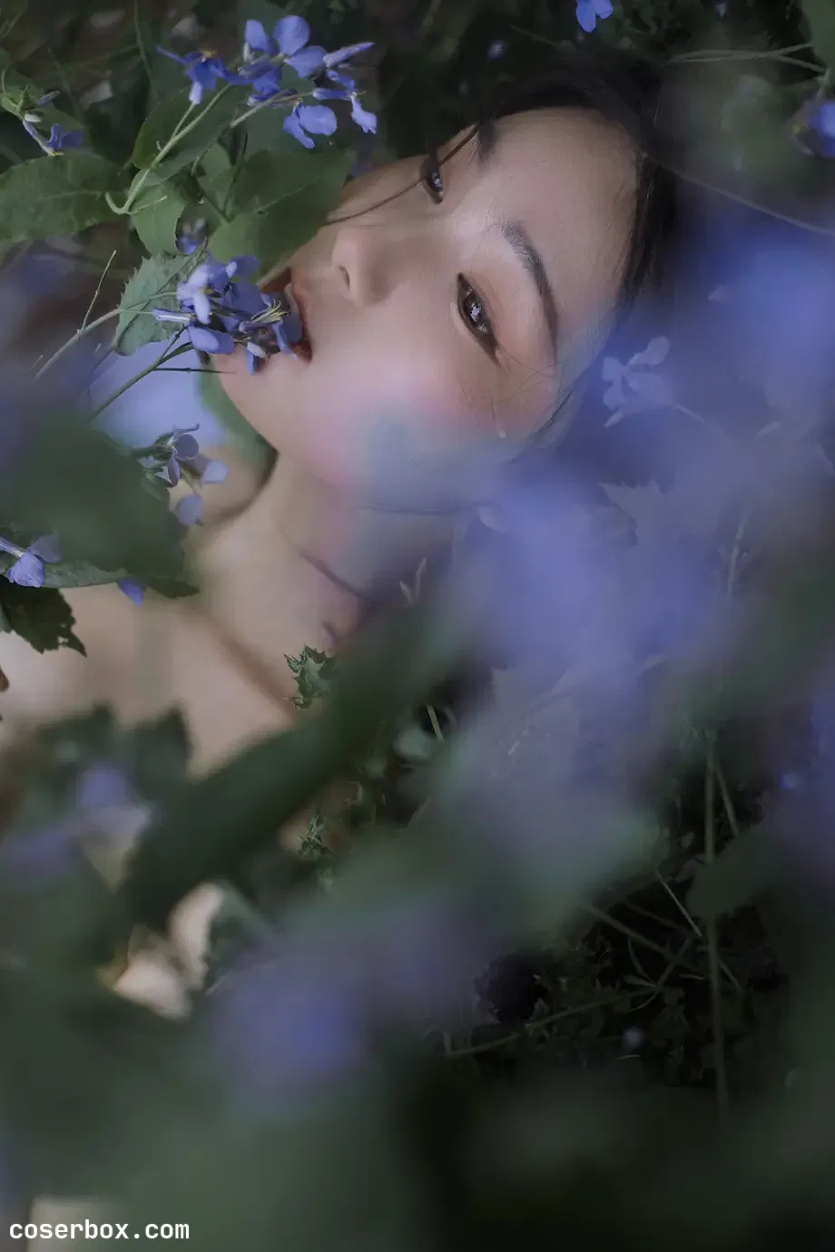 A-mu NO.022 海棠 [15P 27.98MB] - 2