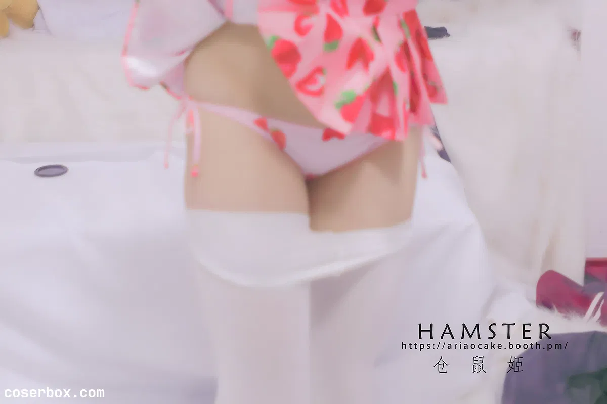 HAMSTERS 仓鼠姬 NO.005 VOL.02 居家女友2 [33P 37.84MB] - 1