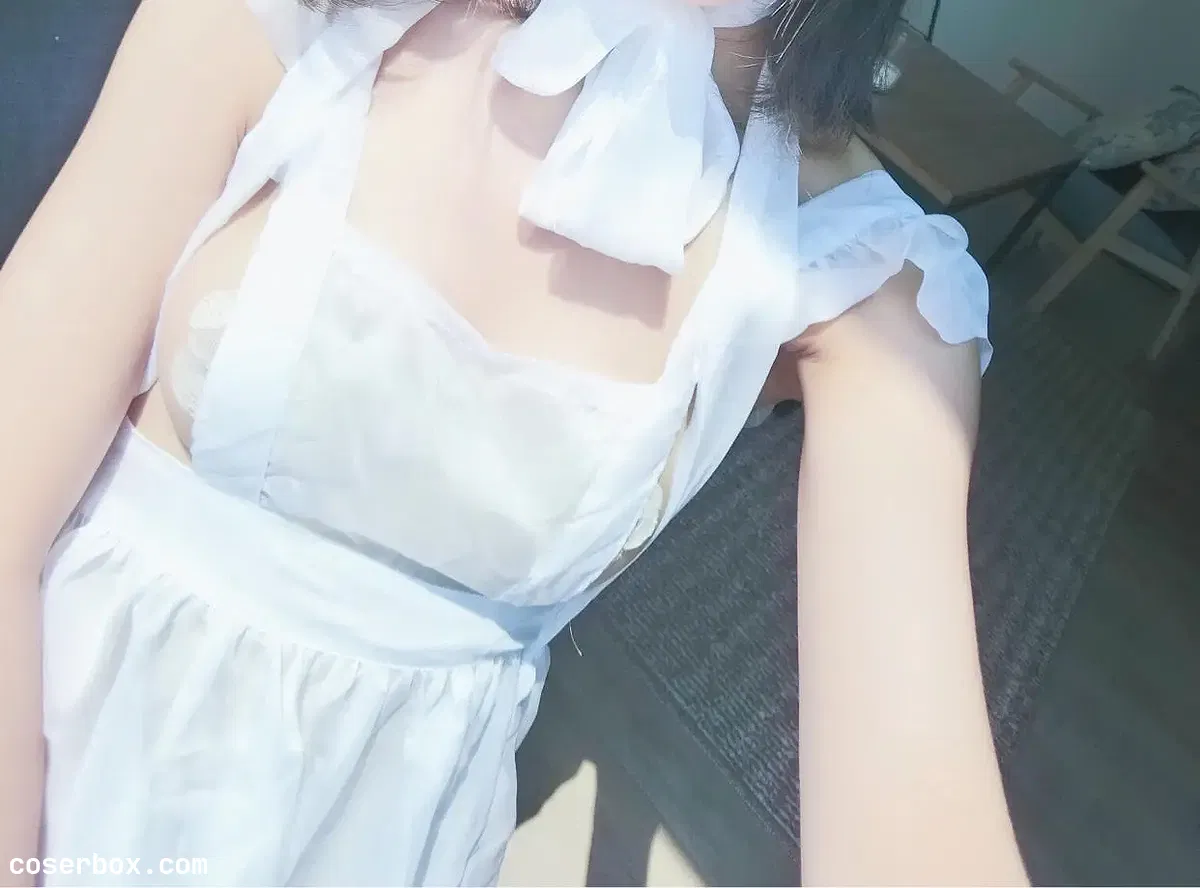 布丁大法 NO.040 白色透明纱衣 [20P-1.78 MB] - 2