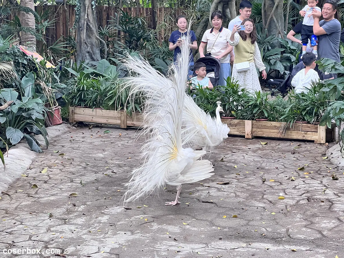 眼酱大魔王w NO.082 23年04月fantia会员合集 - 1