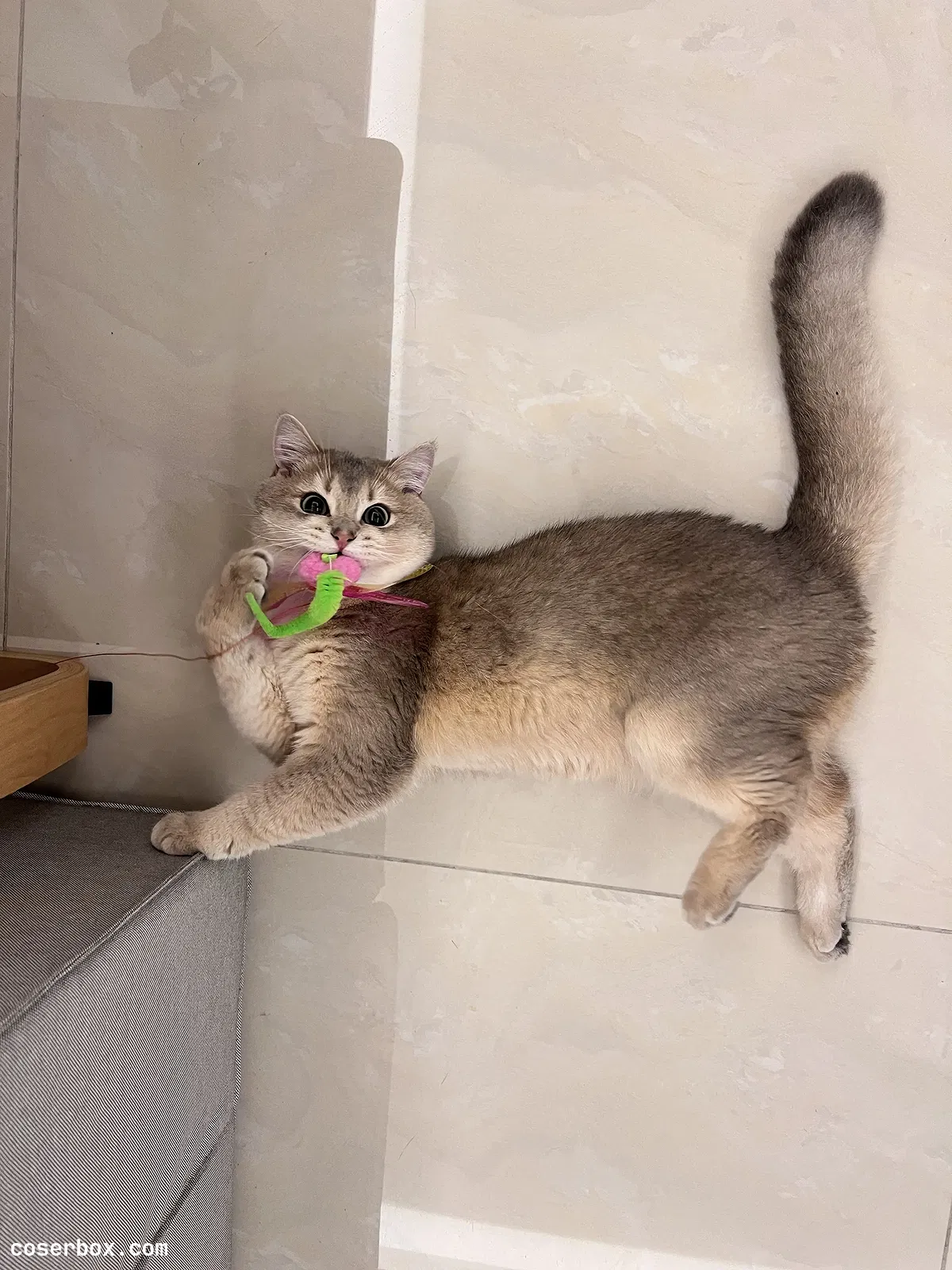 眼酱大魔王w NO.082 23年04月fantia会员合集 - 2