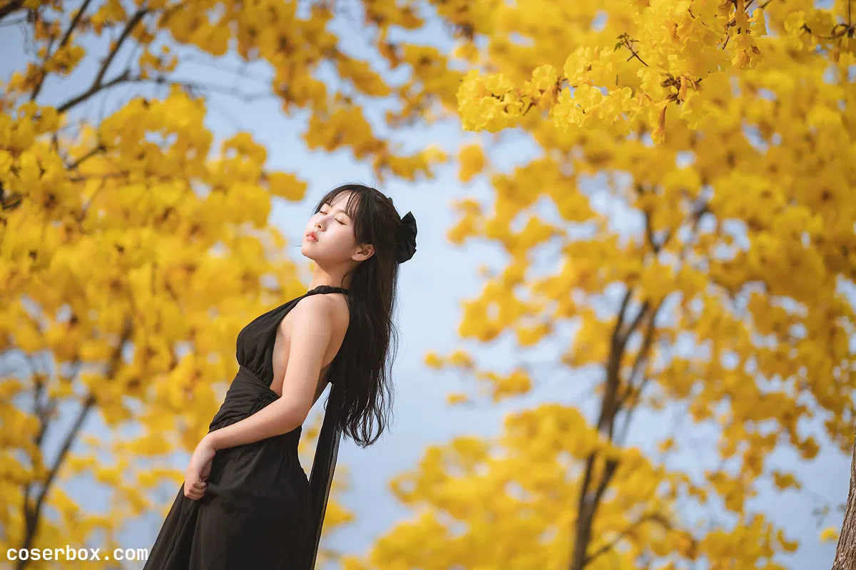 萌芽儿 NO.024 秋有银杏 春有黄风铃 - 2