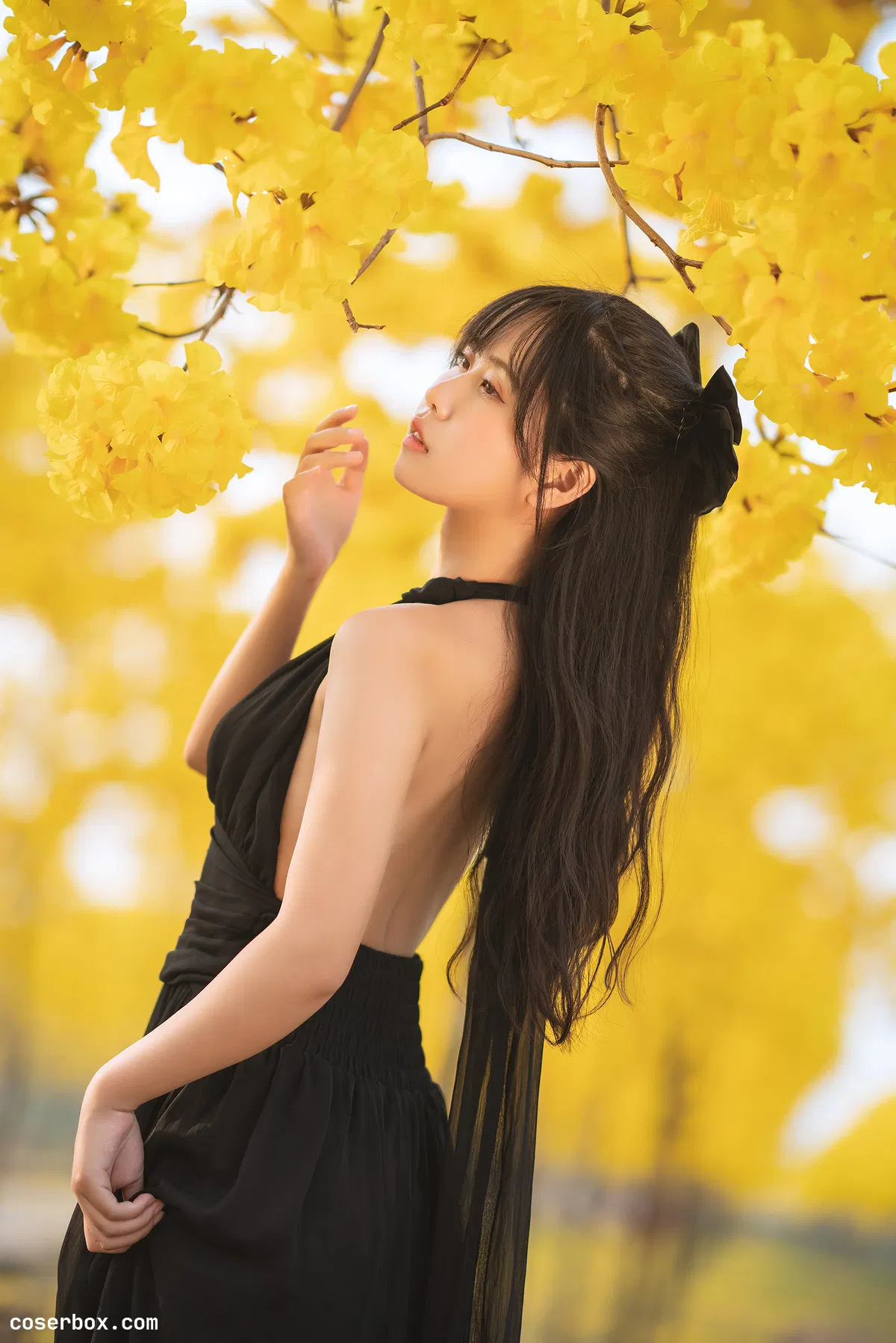 萌芽儿 NO.024 秋有银杏 春有黄风铃 - 1