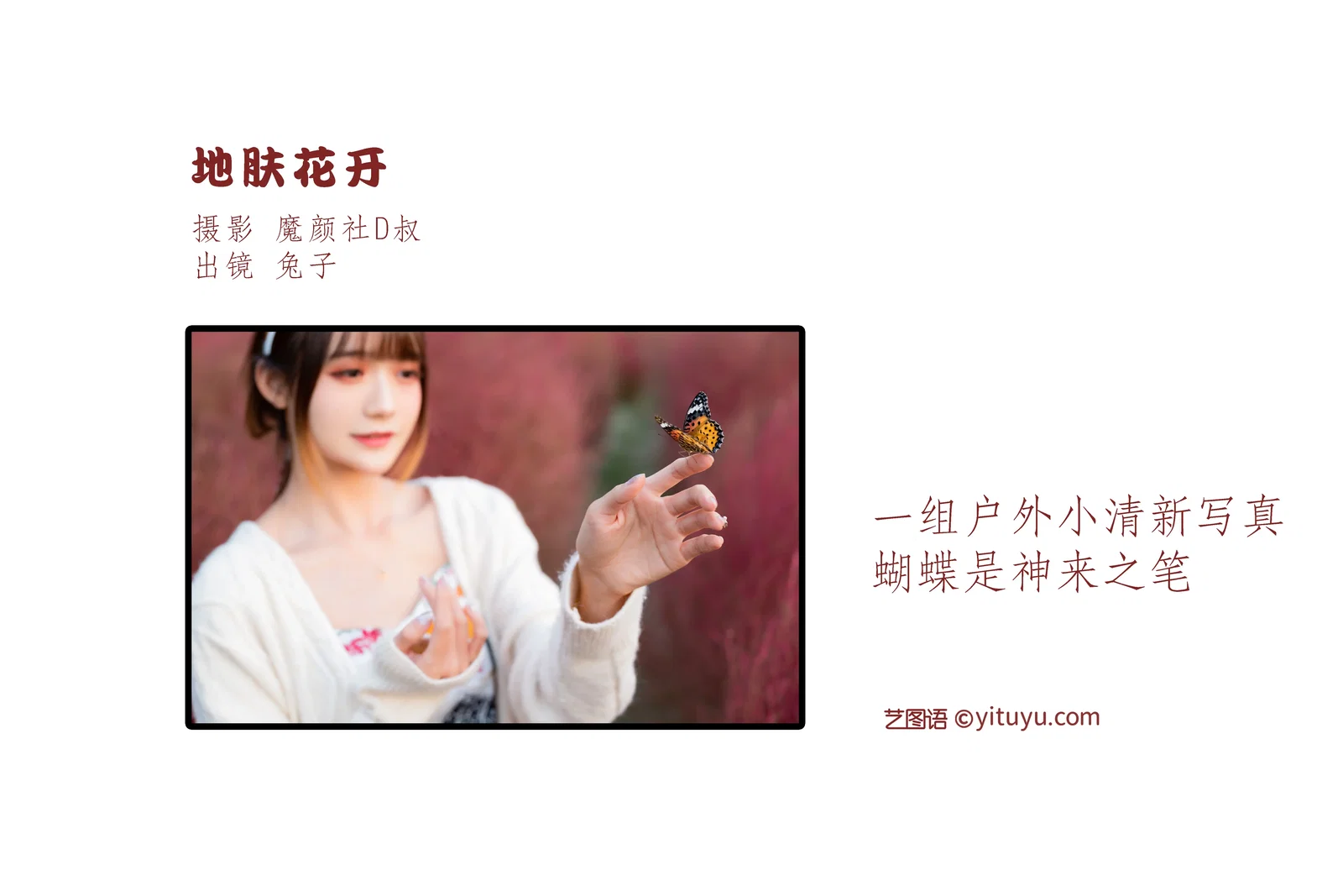 [YITUYU艺图语] 2022.06.27 NO.1690 地肤花开 兔子Zzz不吃胡萝卜 [34P-322MB]