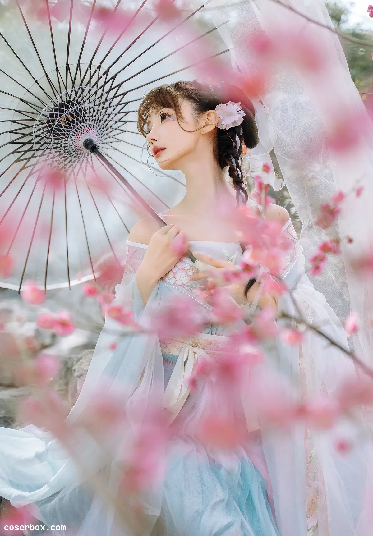 紫氯氯 NO.007 二月梅花 - 2