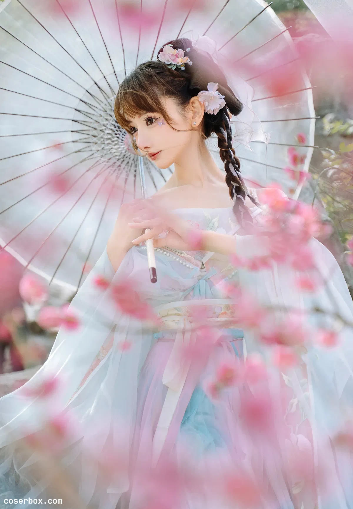 紫氯氯 NO.007 二月梅花 - 1