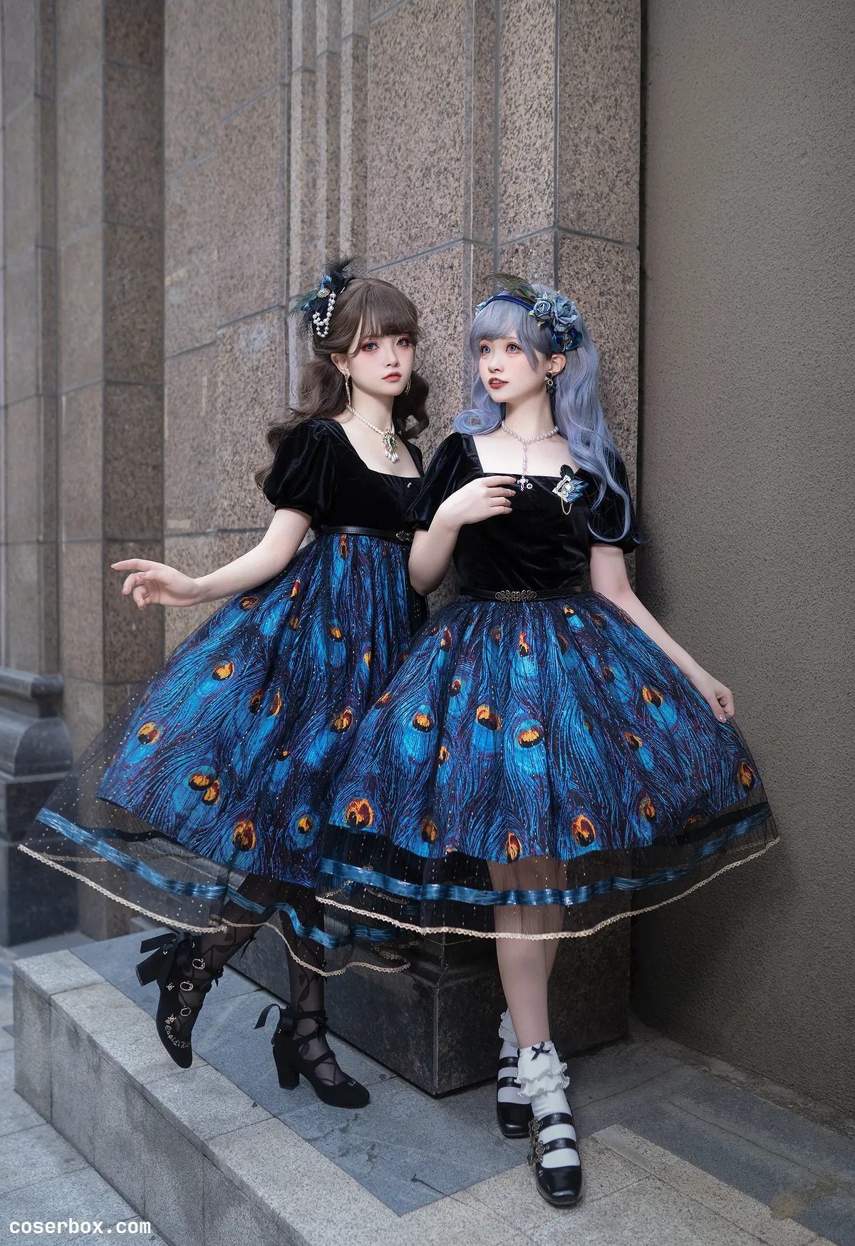 花甲conch NO.011 朱诺之鸟 - 1