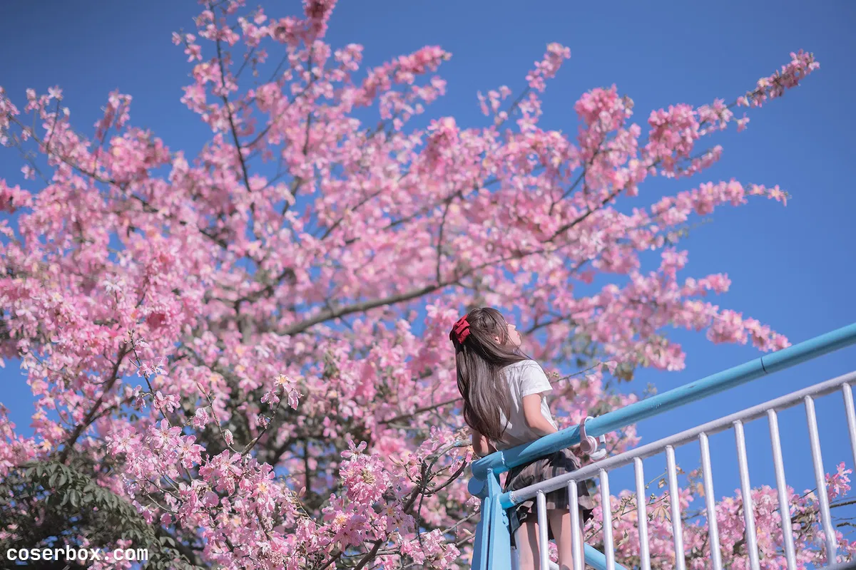 萌芽儿 NO.025 异木棉花 - 1