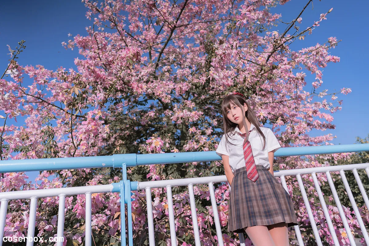 萌芽儿 NO.025 异木棉花 - 2