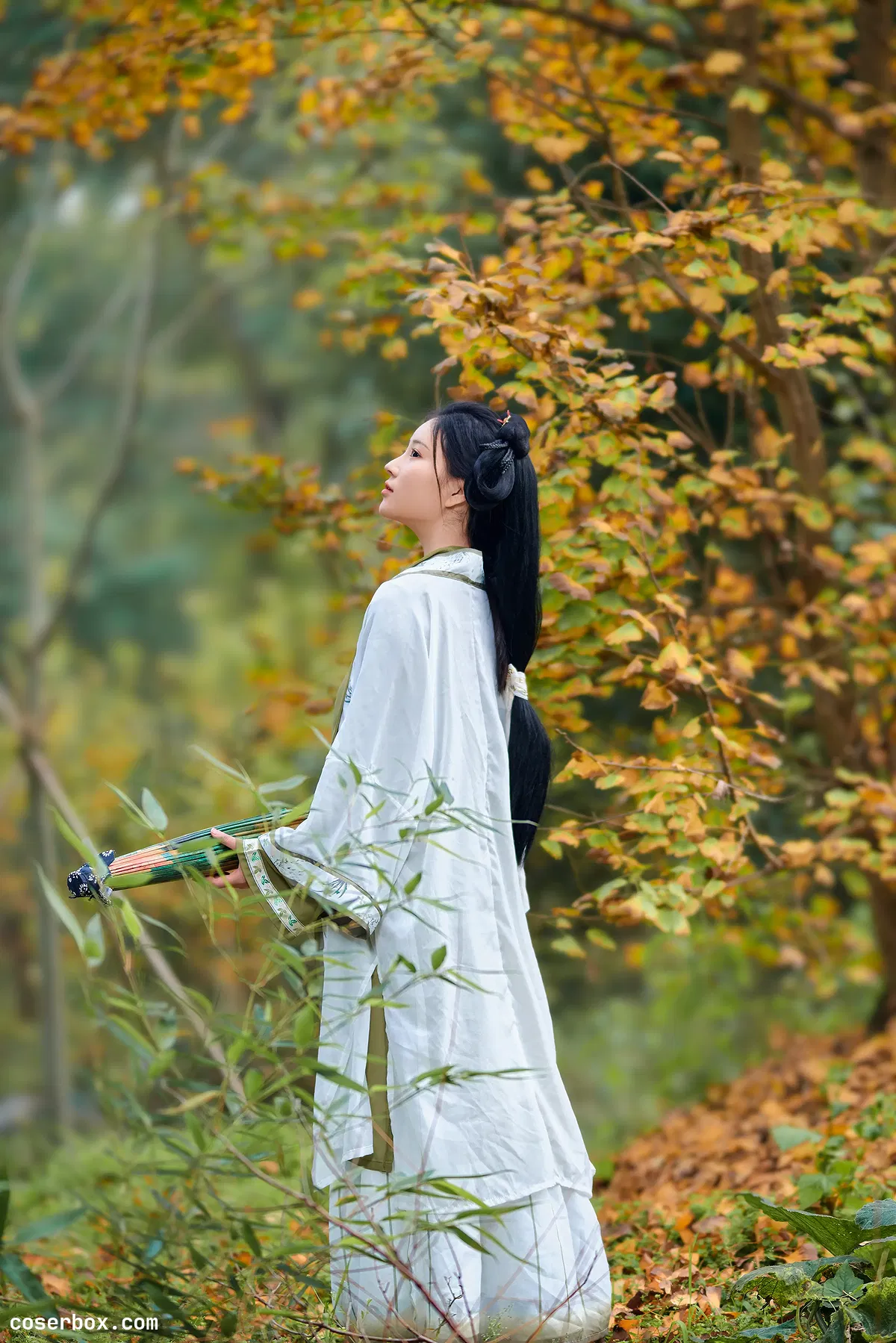 年年 NO.002 秋兮 - 1