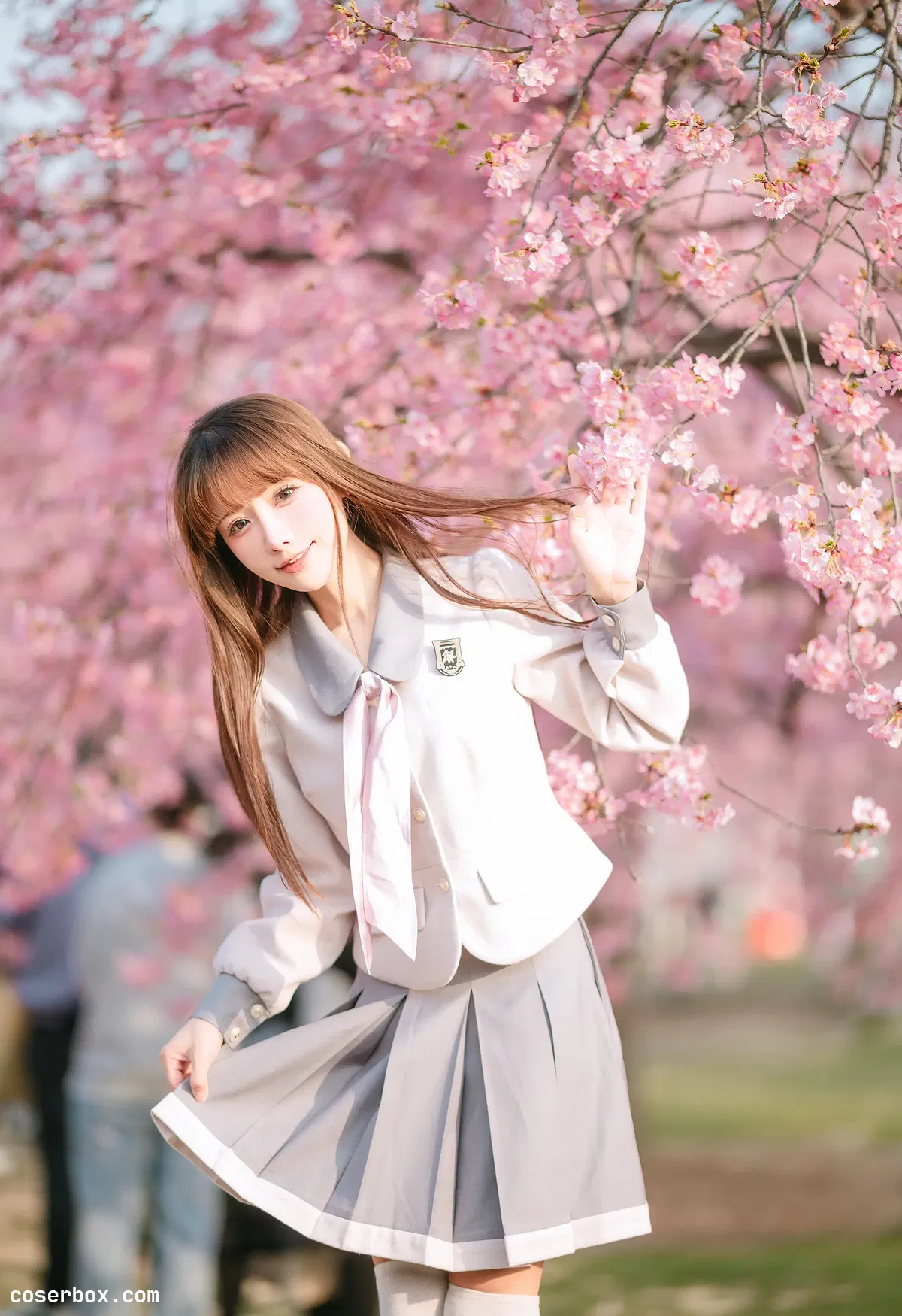 紫氯氯 2023.10.24 樱花下的JK少女 - 1