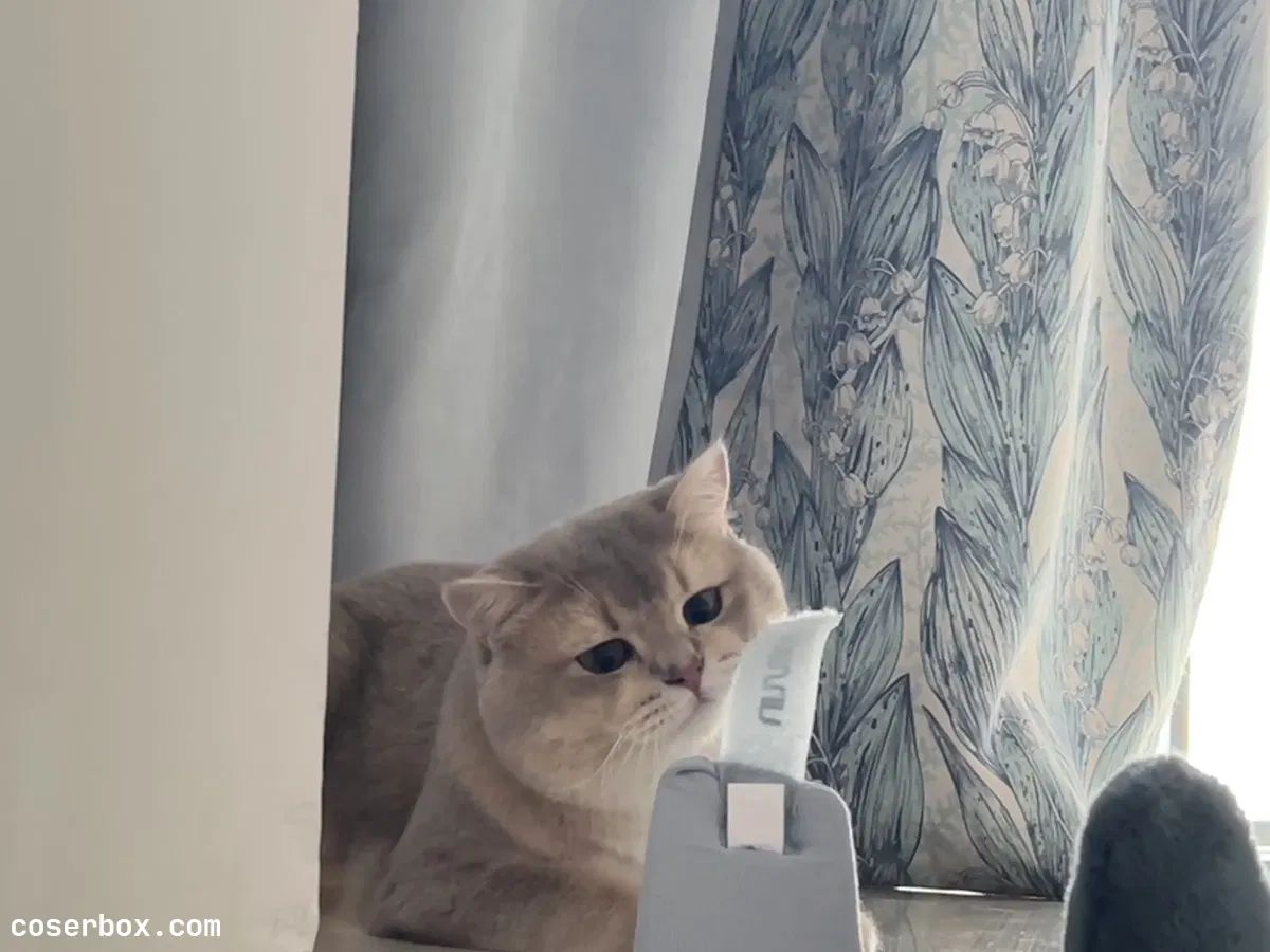 眼酱大魔王w 2023.10.25 23年05月fantia会员合集 - 2