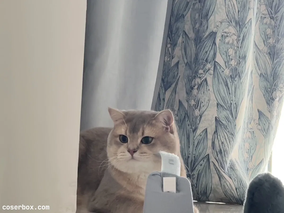 眼酱大魔王w 2023.10.25 23年05月fantia会员合集 - 1