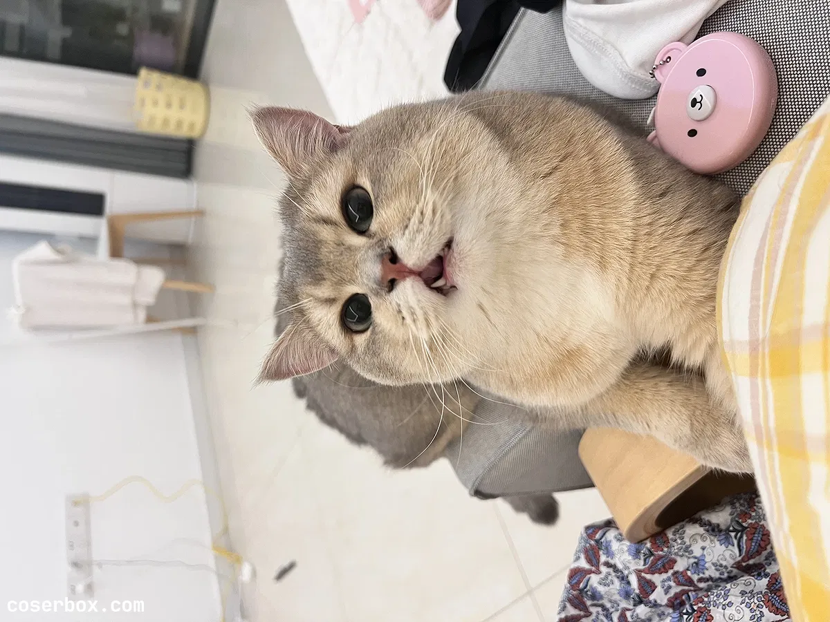 眼酱大魔王w 2023.10.29 23年06月fantia会员合集 - 2