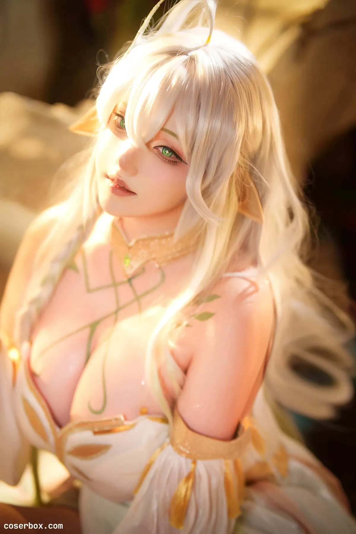 菌烨tako 2023.11.02 大慈树王 - 1