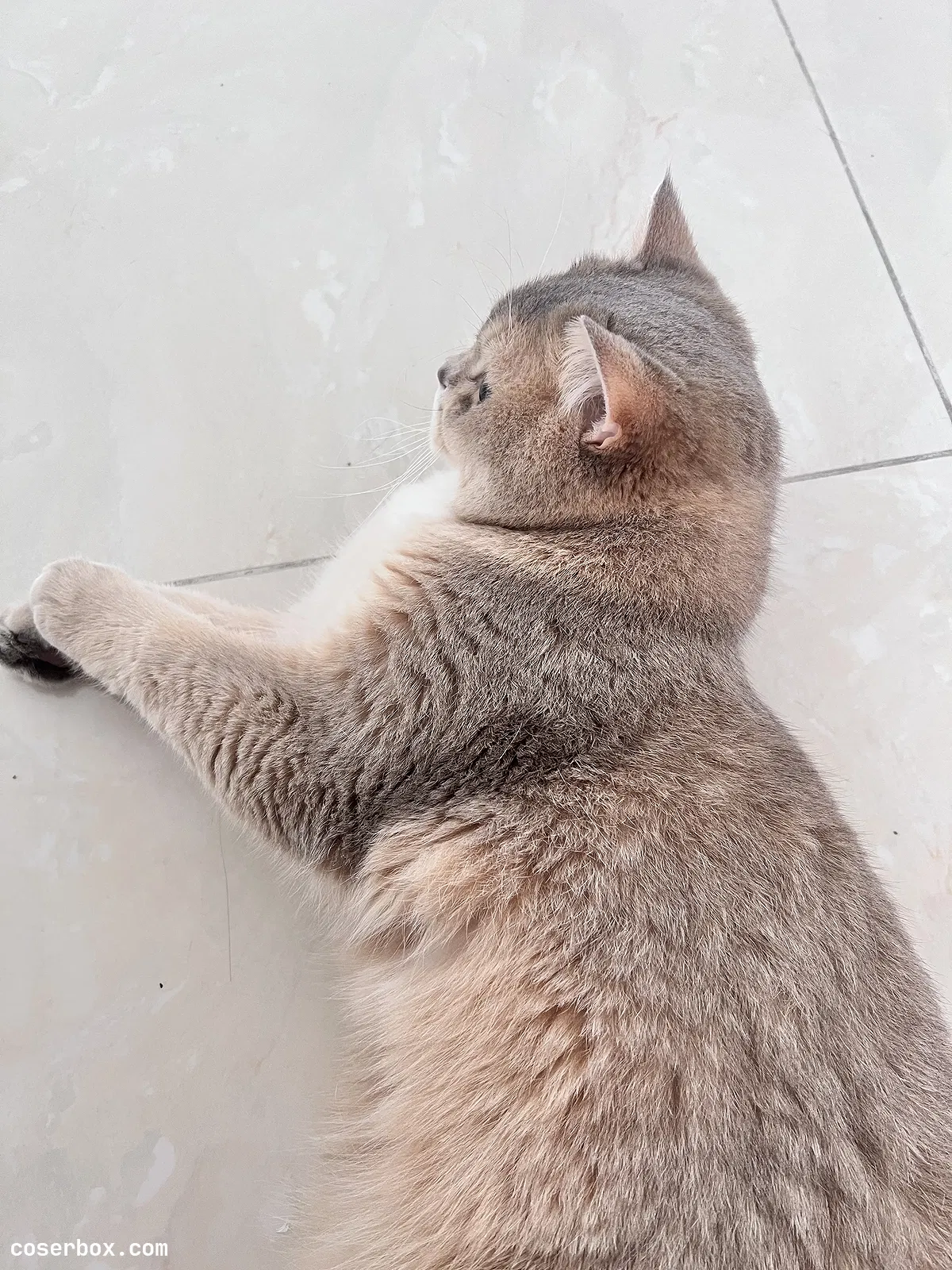 眼酱大魔王w 2023.11.02 23年7月 – fantia订阅 - 2