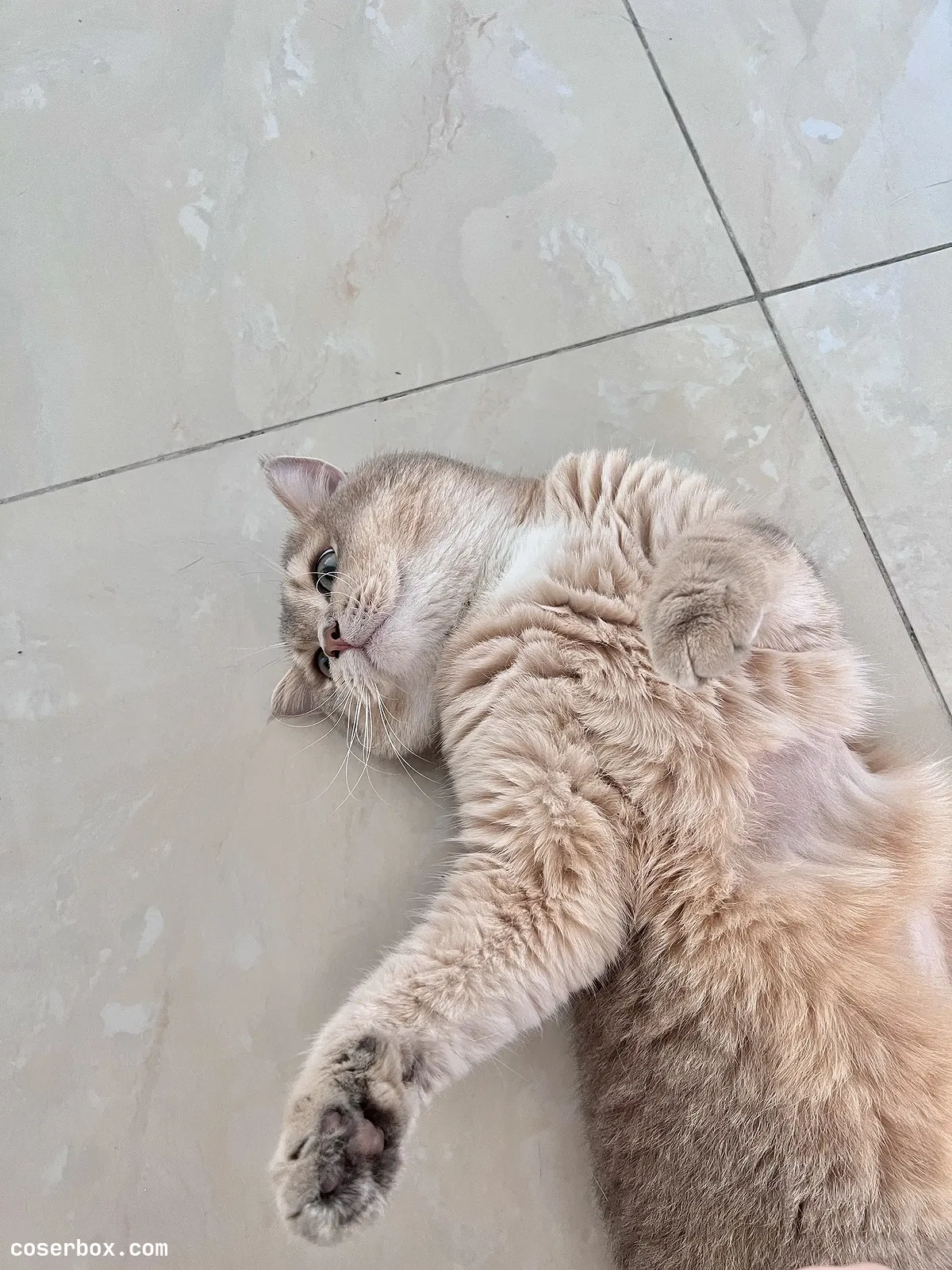 眼酱大魔王w 2023.11.02 23年7月 – fantia订阅 - 1