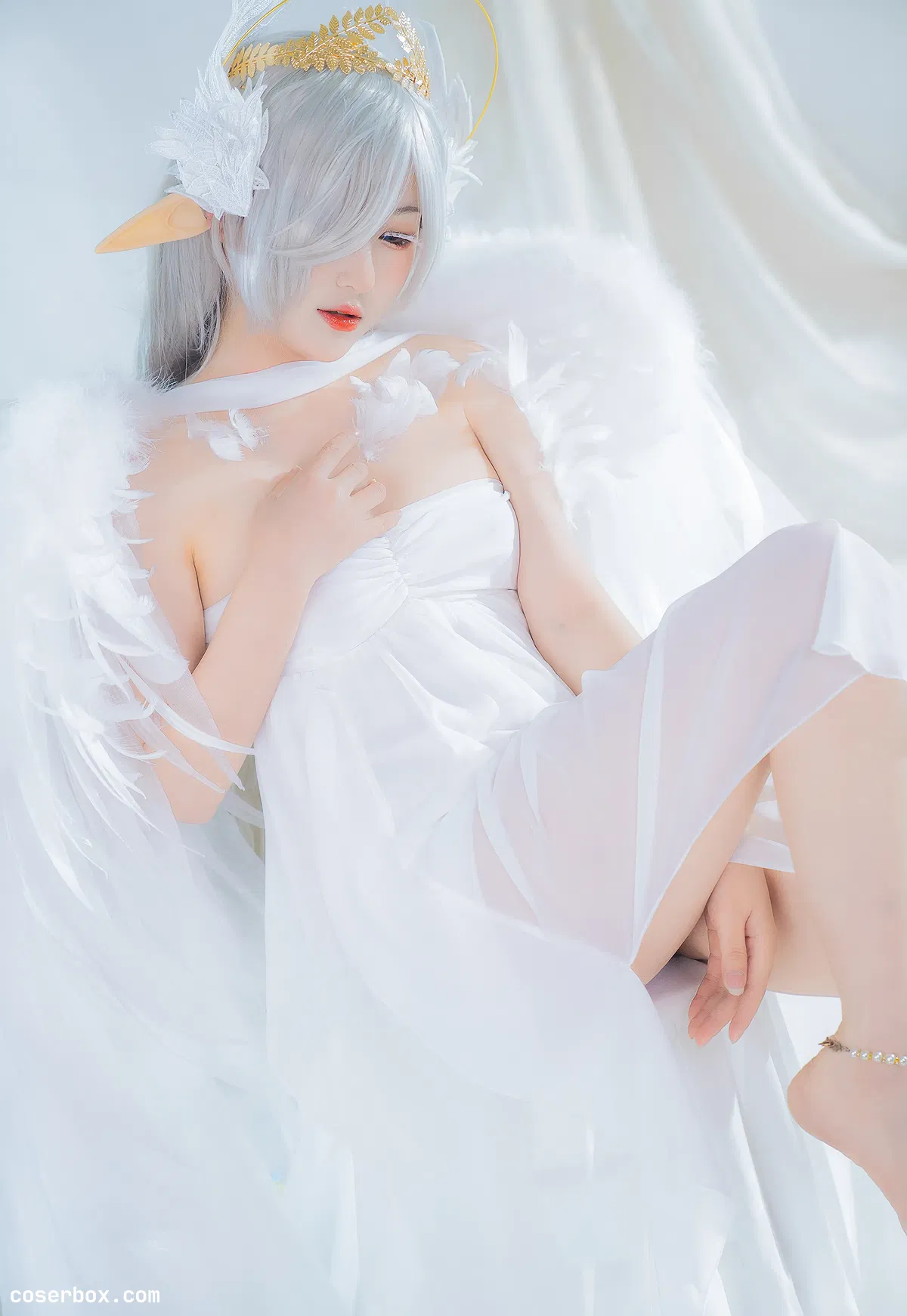 喵喵的喵吖 2023.11.06 翅膀坠落 - 1