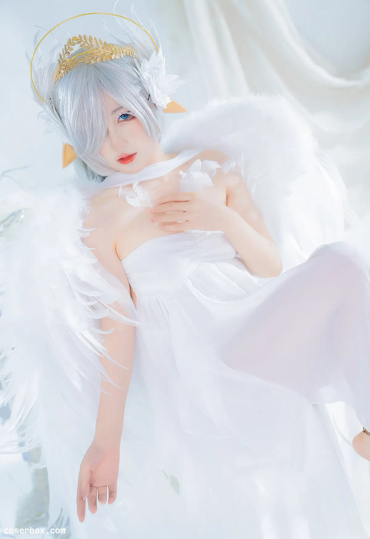 喵喵的喵吖 2023.11.06 翅膀坠落 - 2