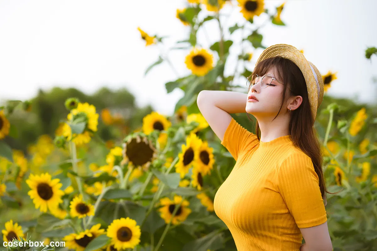 前羽 2023.11.12 夏雨潮 限量版 - 2