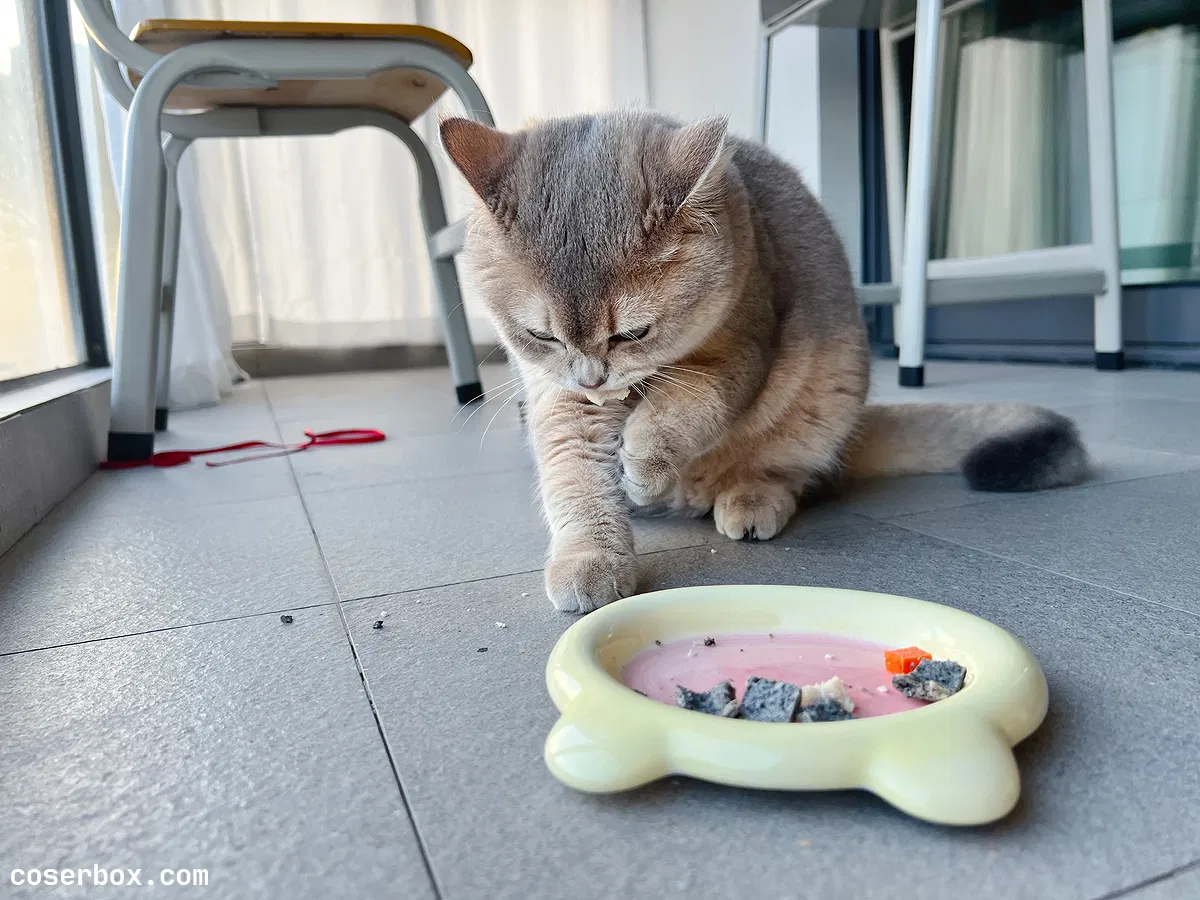 眼酱大魔王w 2023.11.18 Fantia 22.11月会员合集 6套 - 2