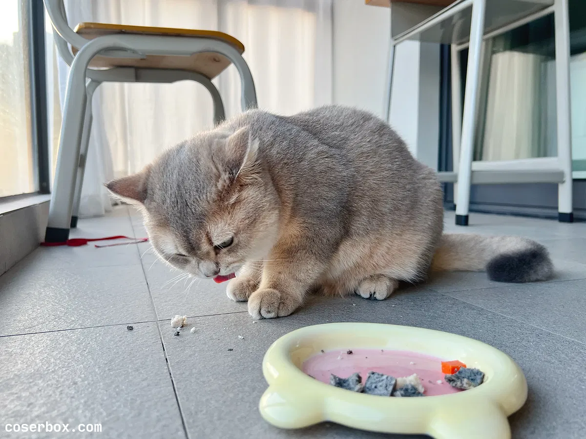 眼酱大魔王w 2023.11.18 Fantia 22.11月会员合集 6套 - 1