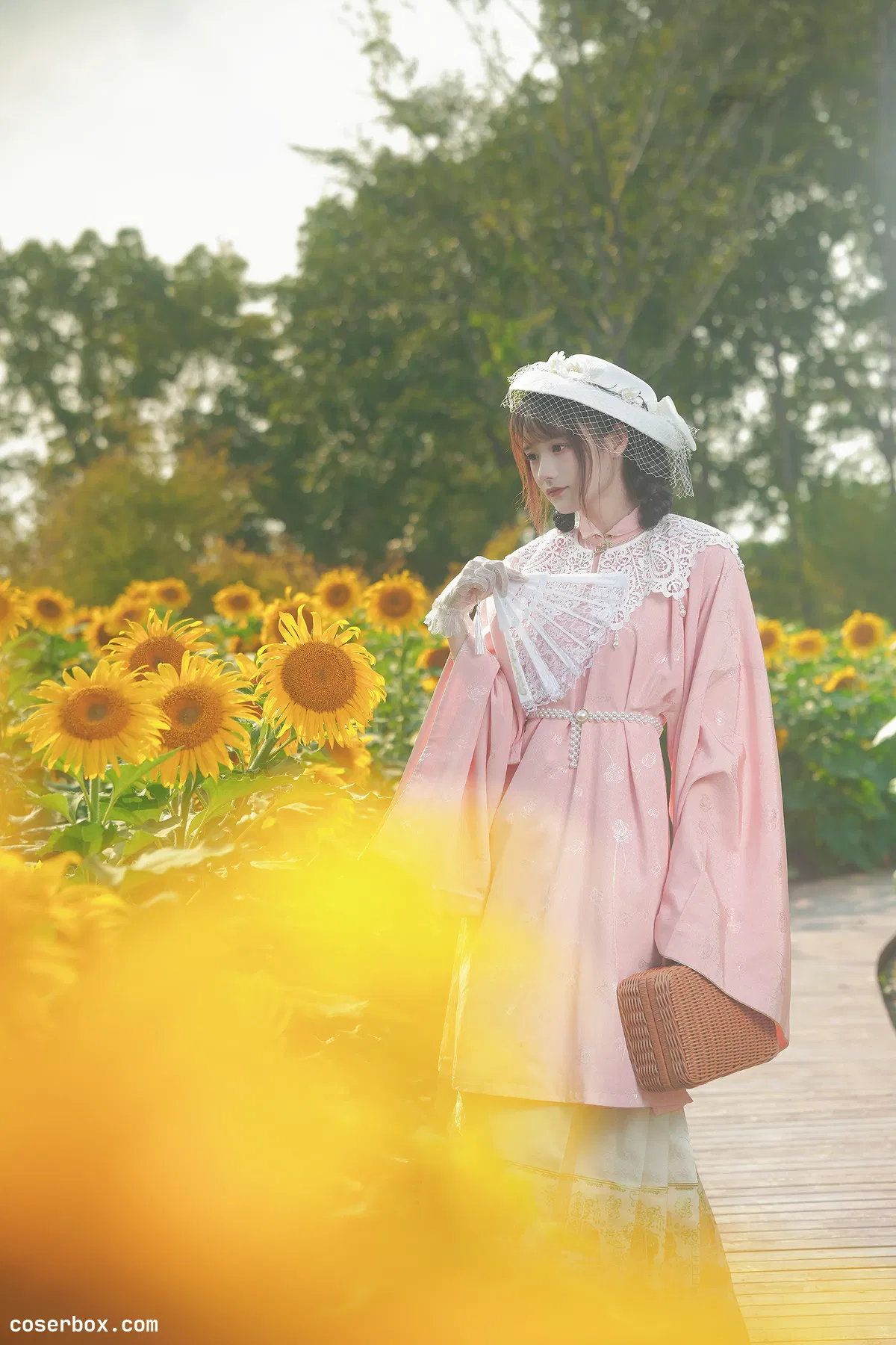 兔子Zzz不吃胡萝卜 2023.11.23 向日葵的回忆 - 1