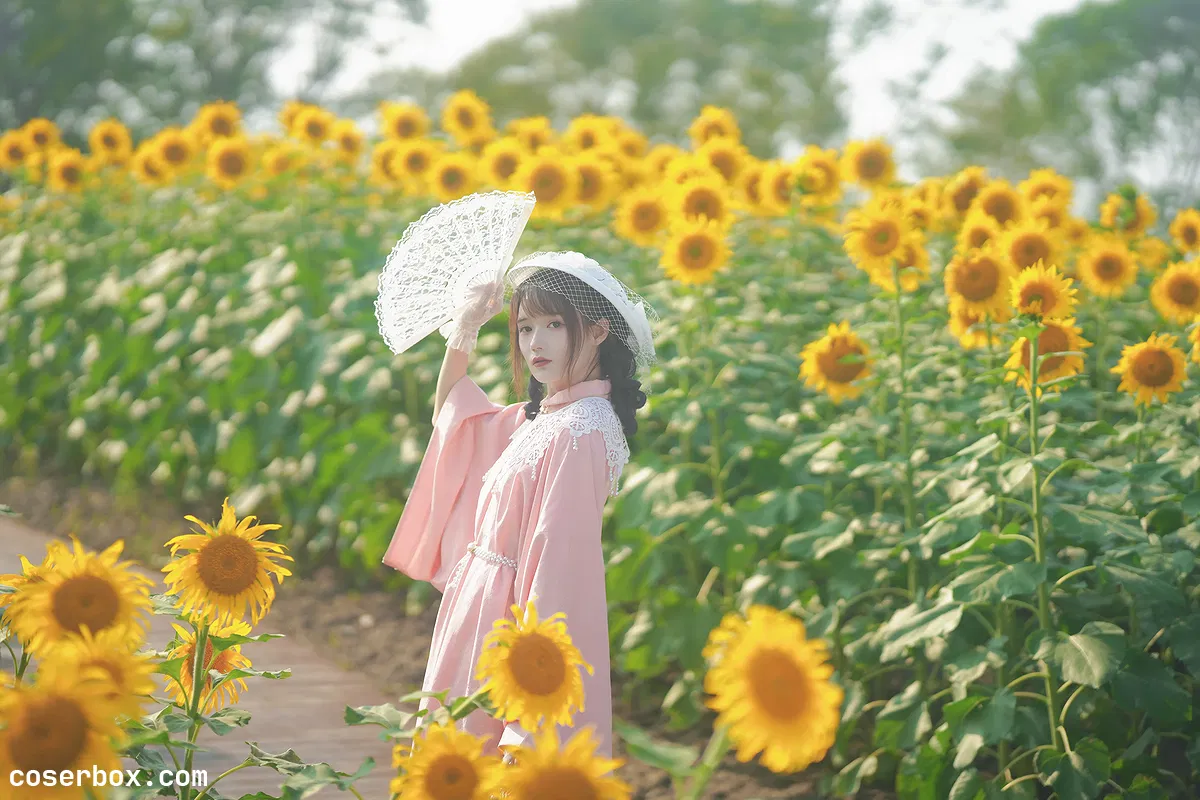 兔子Zzz不吃胡萝卜 2023.11.23 向日葵的回忆 - 2