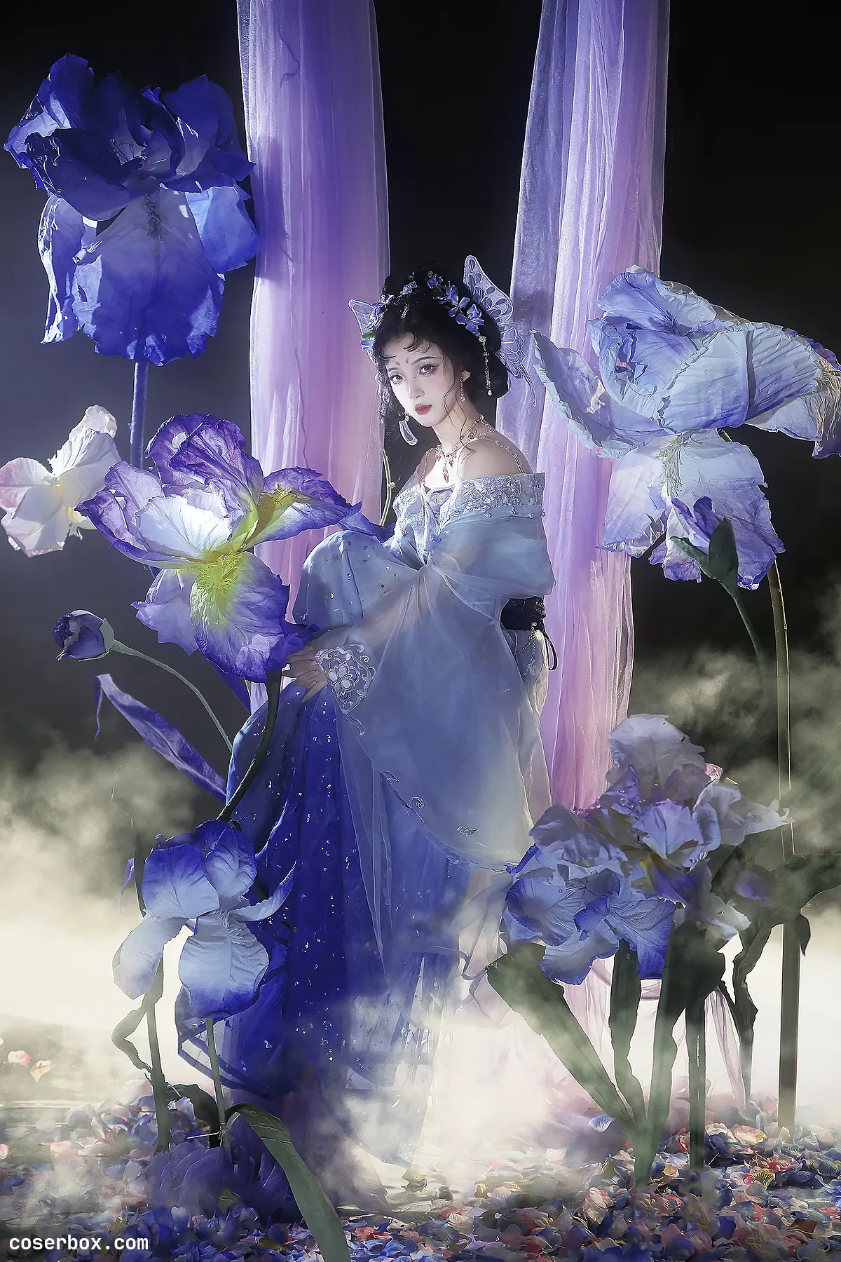 ble 2023.12.14 鸢尾 - 2