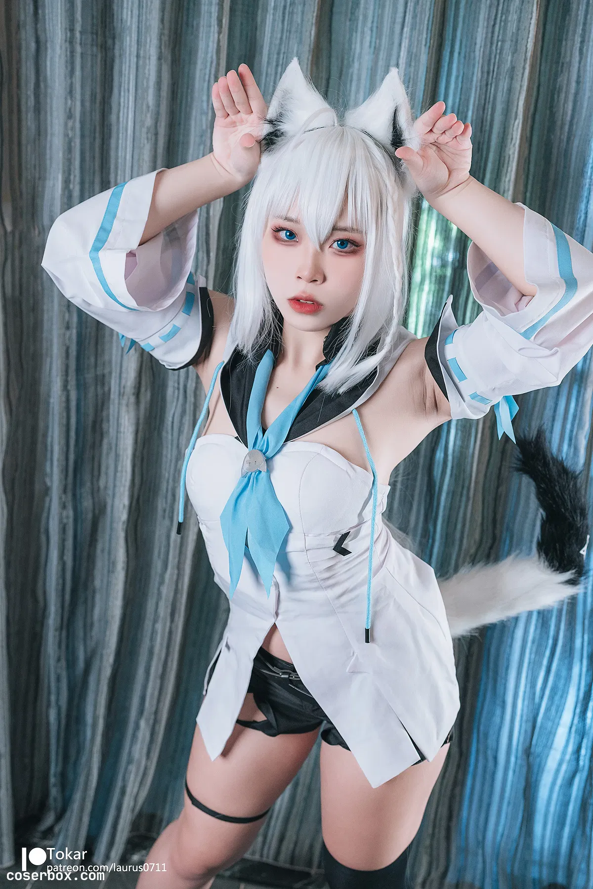 Tokar浵卡 2023.12.18 Shirakami Fubuki 白上吹雪 - 2