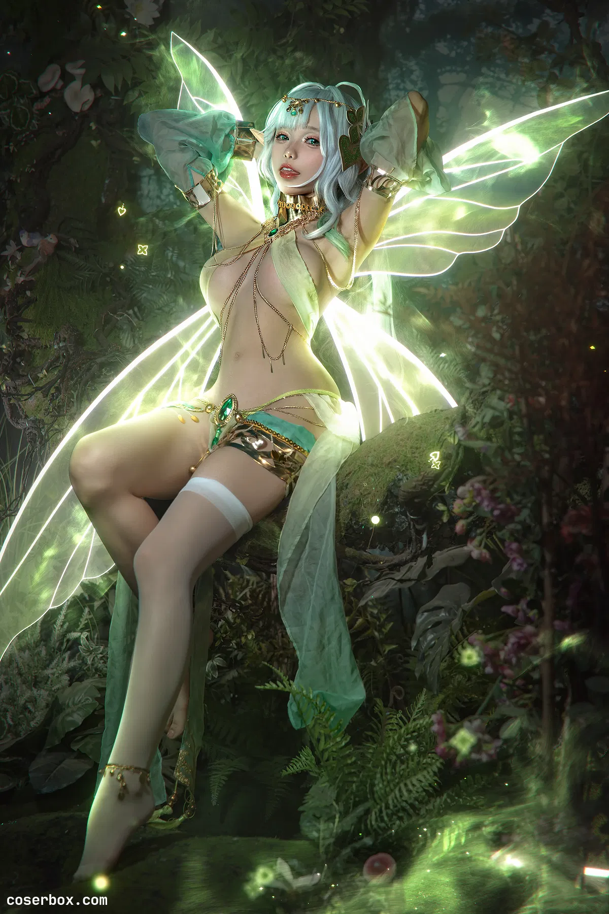 黏黏团子兔 2023.12.19 十一月订阅 『被遗忘的大慈树王』 - 2