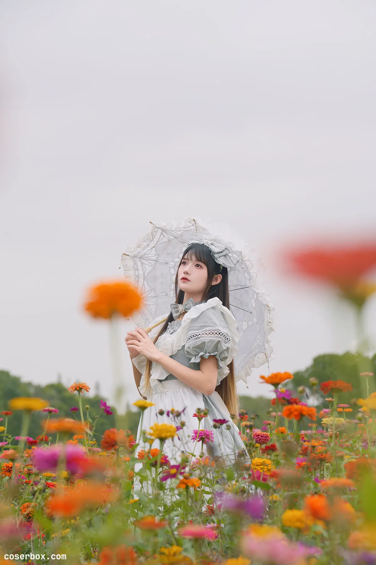 兔子Zzz不吃胡萝卜 2023.12.19 秋日序曲 - 1