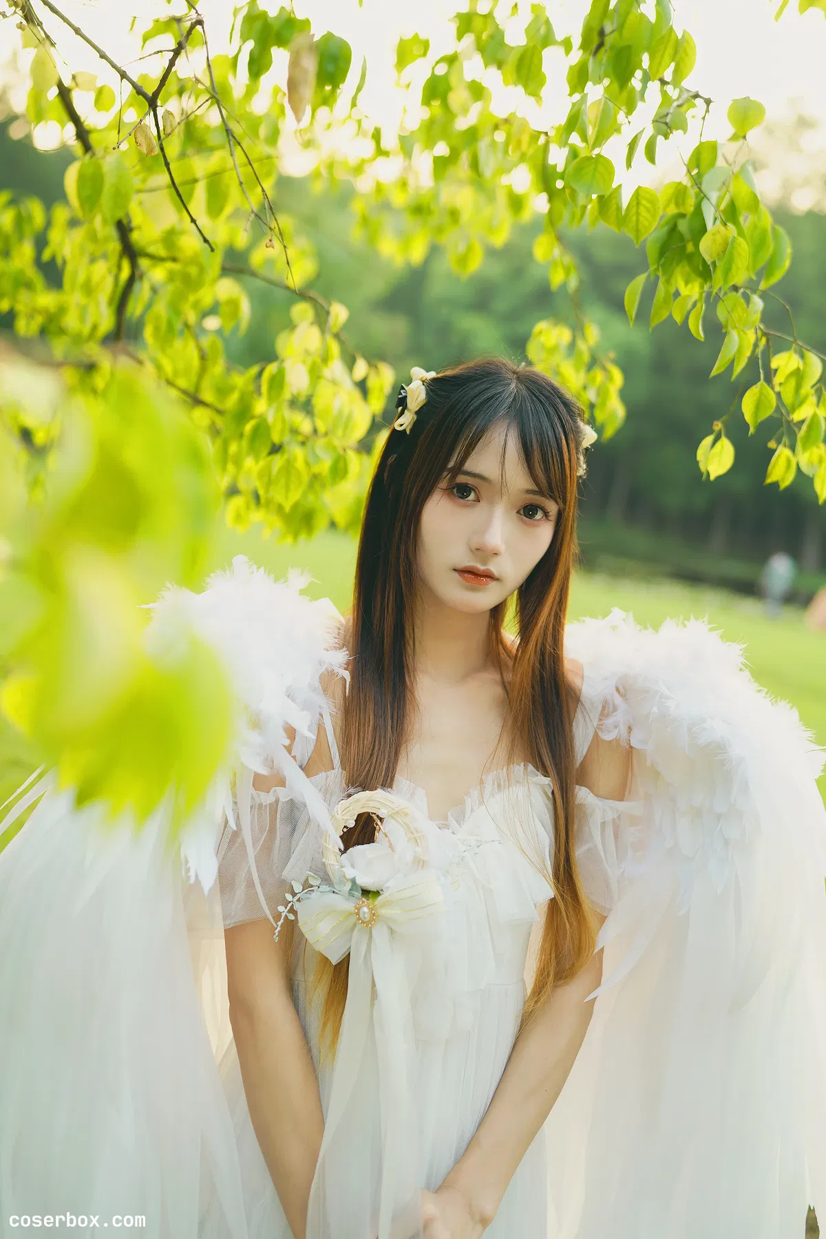 兔子Zzz不吃胡萝卜 2023.12.21  林中天使 - 1