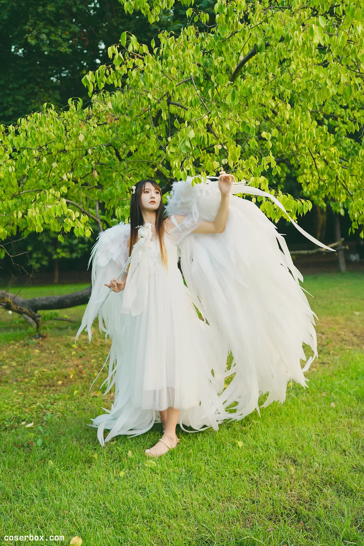 兔子Zzz不吃胡萝卜 2023.12.21  林中天使 - 2