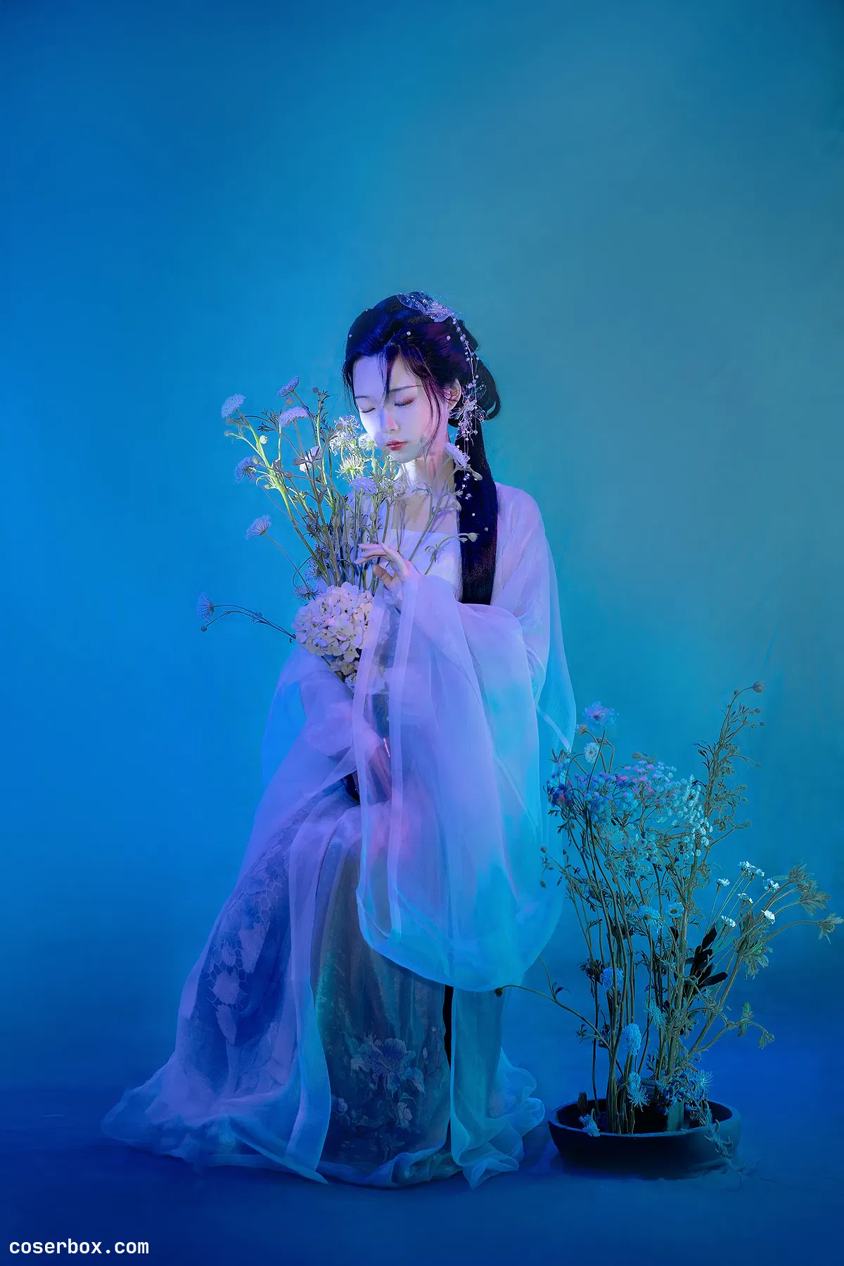 怀里猫ovo 2023.12.27 她是那一抹蓝 - 1