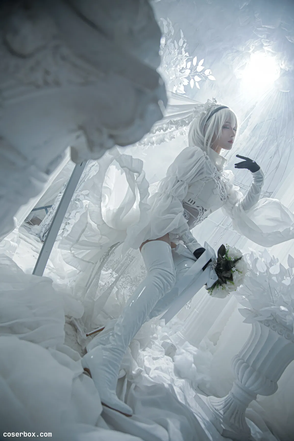 奶狮不咬人 2023.12.29 白2b - 1