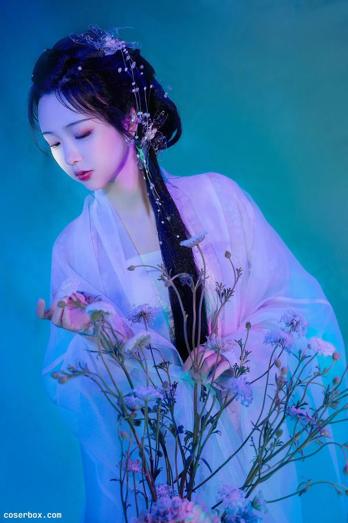 怀里猫ovo 2024.01.02 她是那一抹蓝 - 1