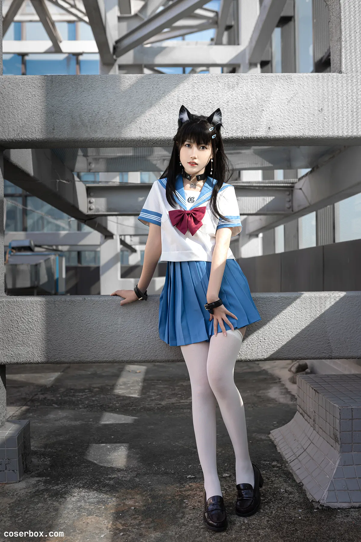 不呆猫 2024.02.03 天台小m猫 - 2