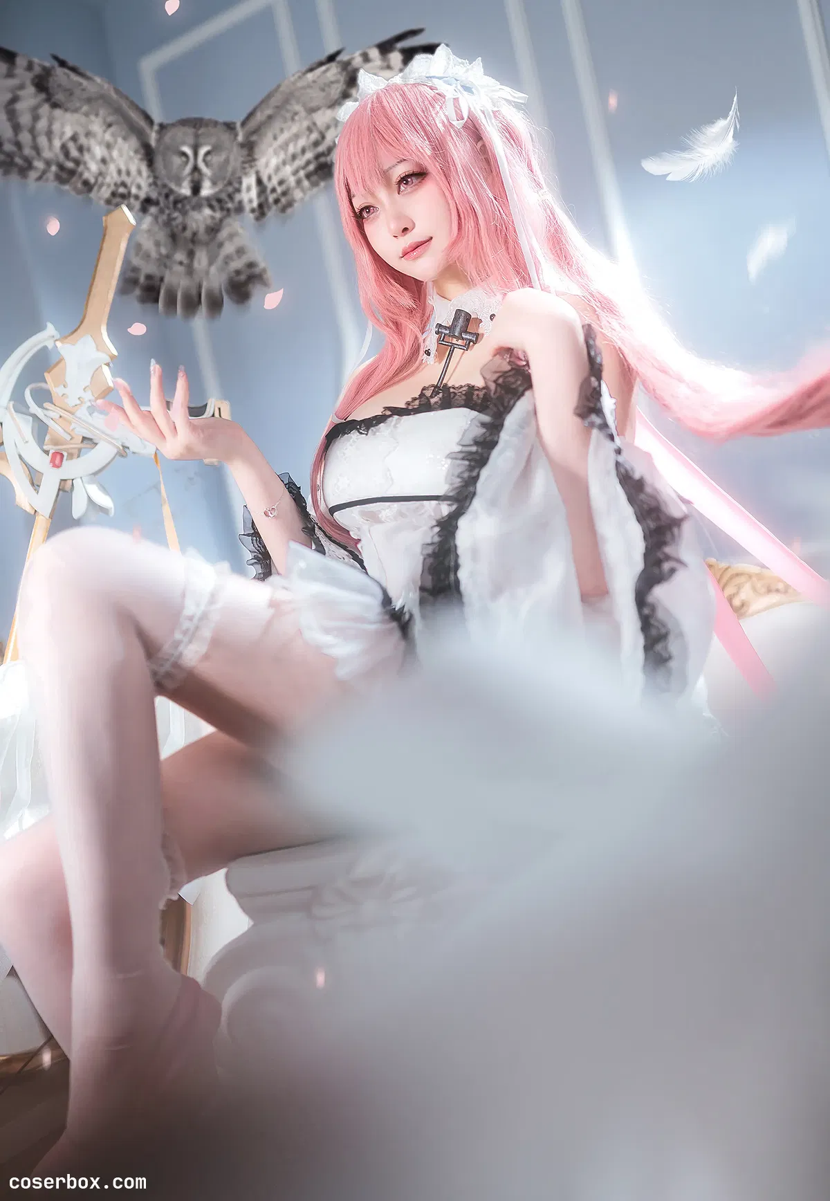 Halo_酱 2024.02.27 皇家海军 帕尔修斯 - 1