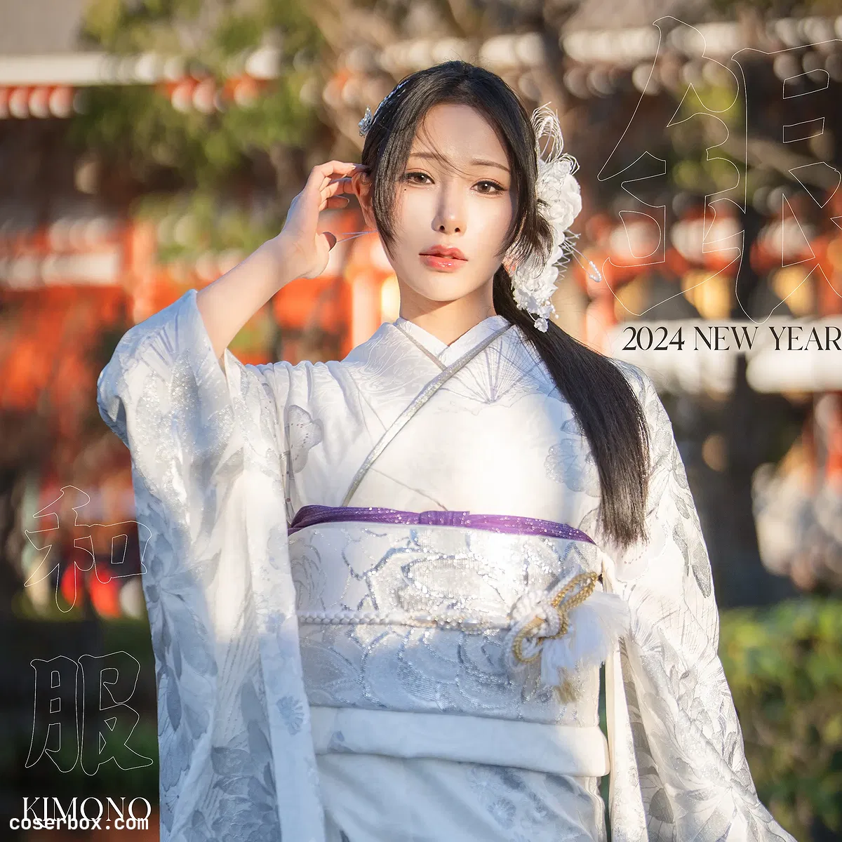 雨波 2024.02.28 Original 2024 New year Silver Kimono - 1