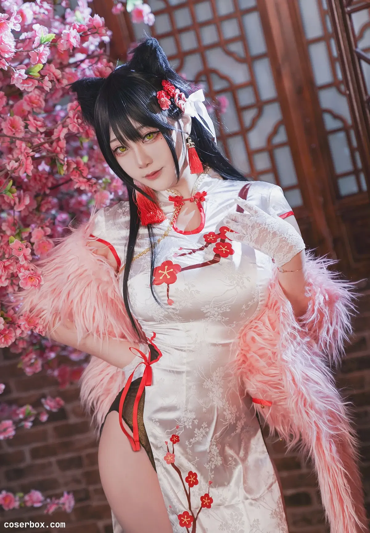 Halo_酱 2024.03.01 爱宕新春旗袍 - 2