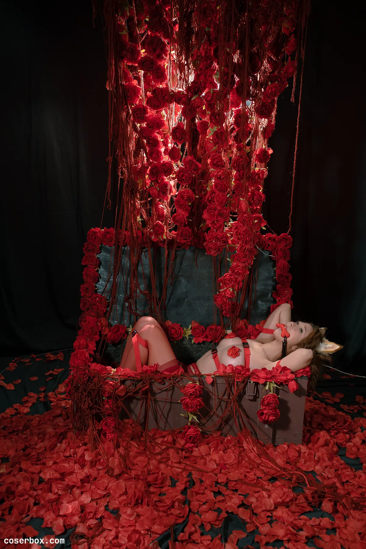 云溪溪 2024.03.07 奶桃桃 狗狗4 - 1