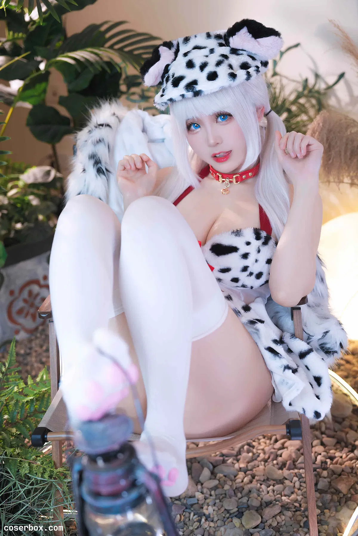 miko酱ww 2024.04.20 点点狗 - 2