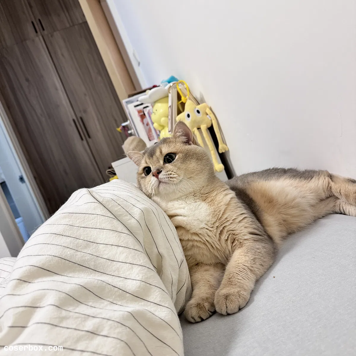 眼酱大魔王w 2024.05.17 24年03月Fantia会员合集 - 1