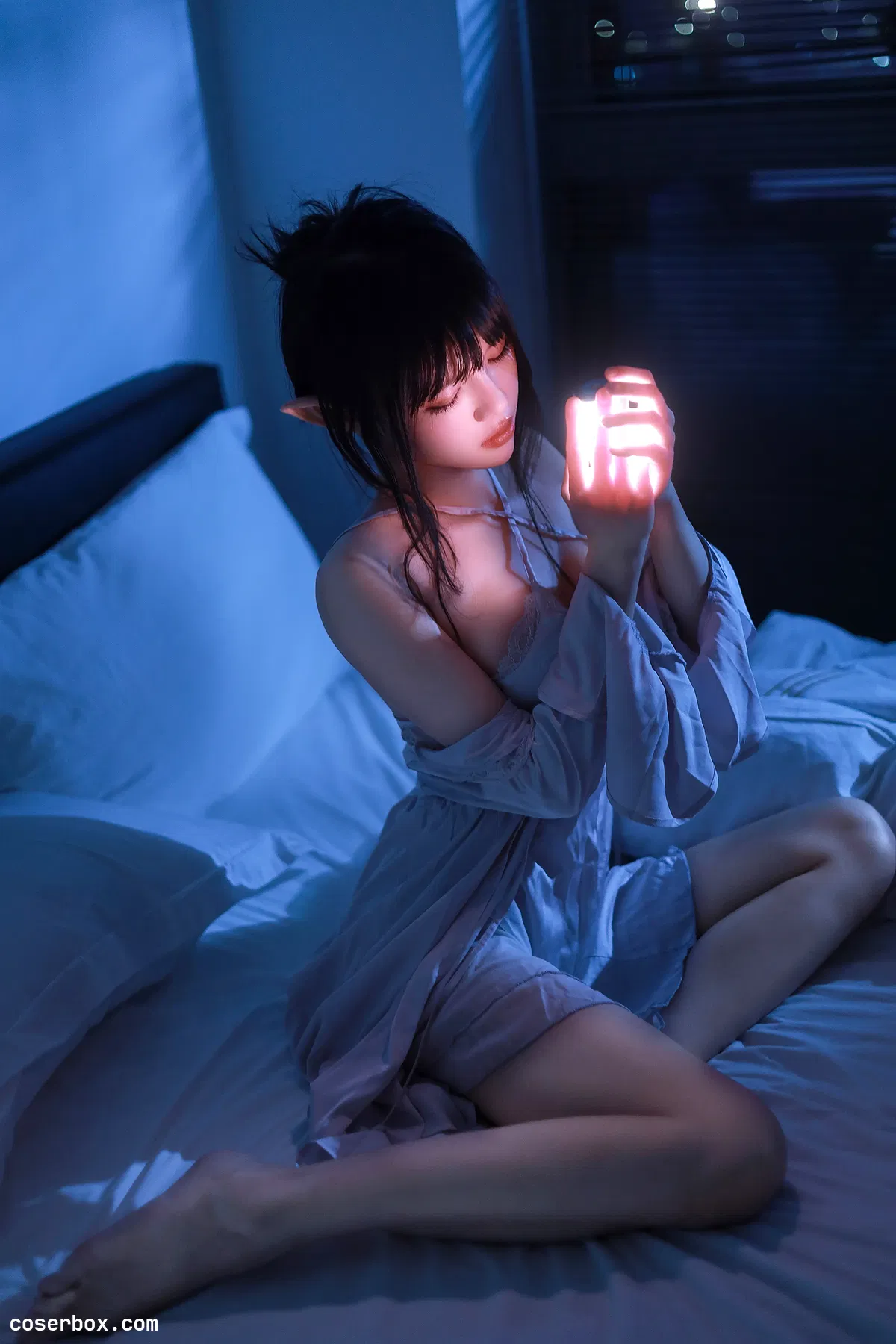 桜桃喵 2024.06.16 盏月 - 2