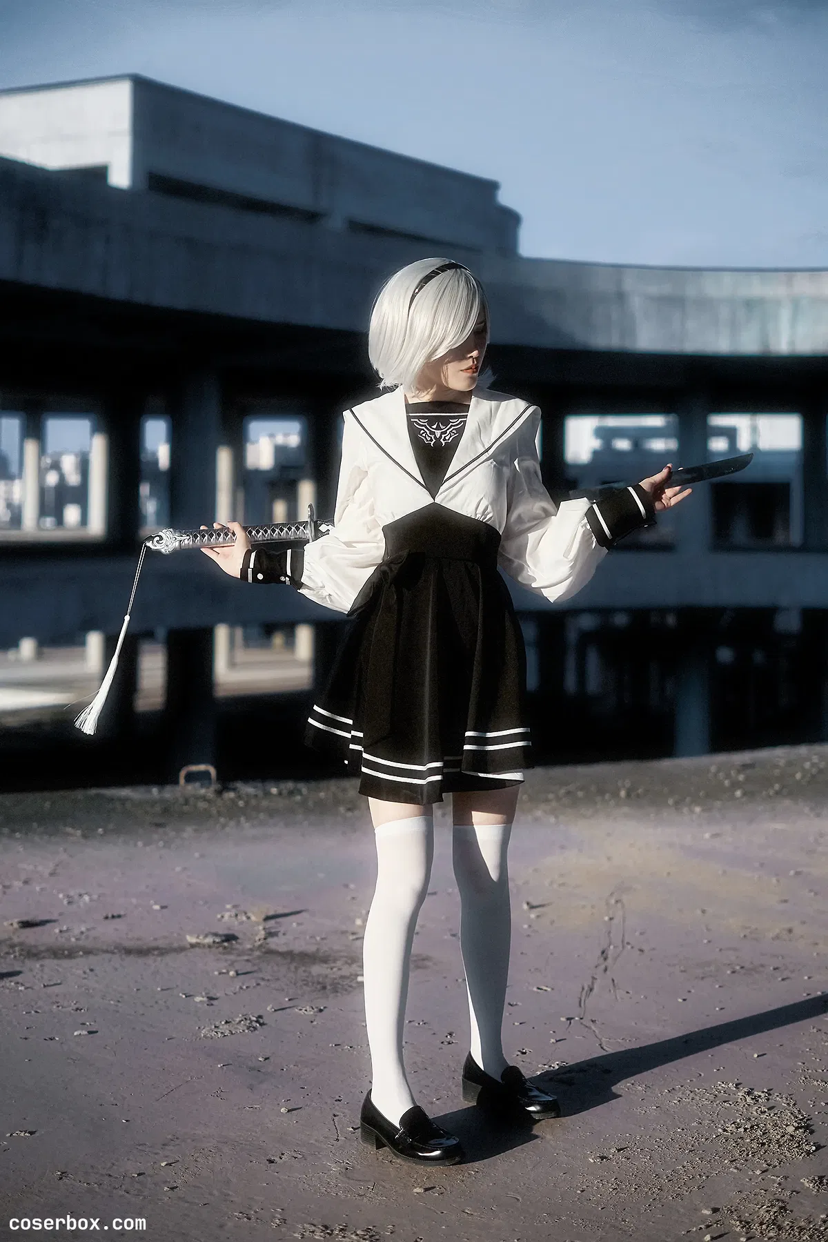 鹿八岁 2024.07.06 尼尔：机械纪元 2B废墟 - 1